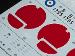 32013 1/32 Sopwith Pup RFC 9132013 decals detail2